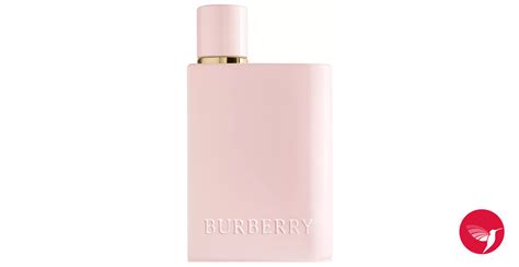 burberry her perfume 2022.